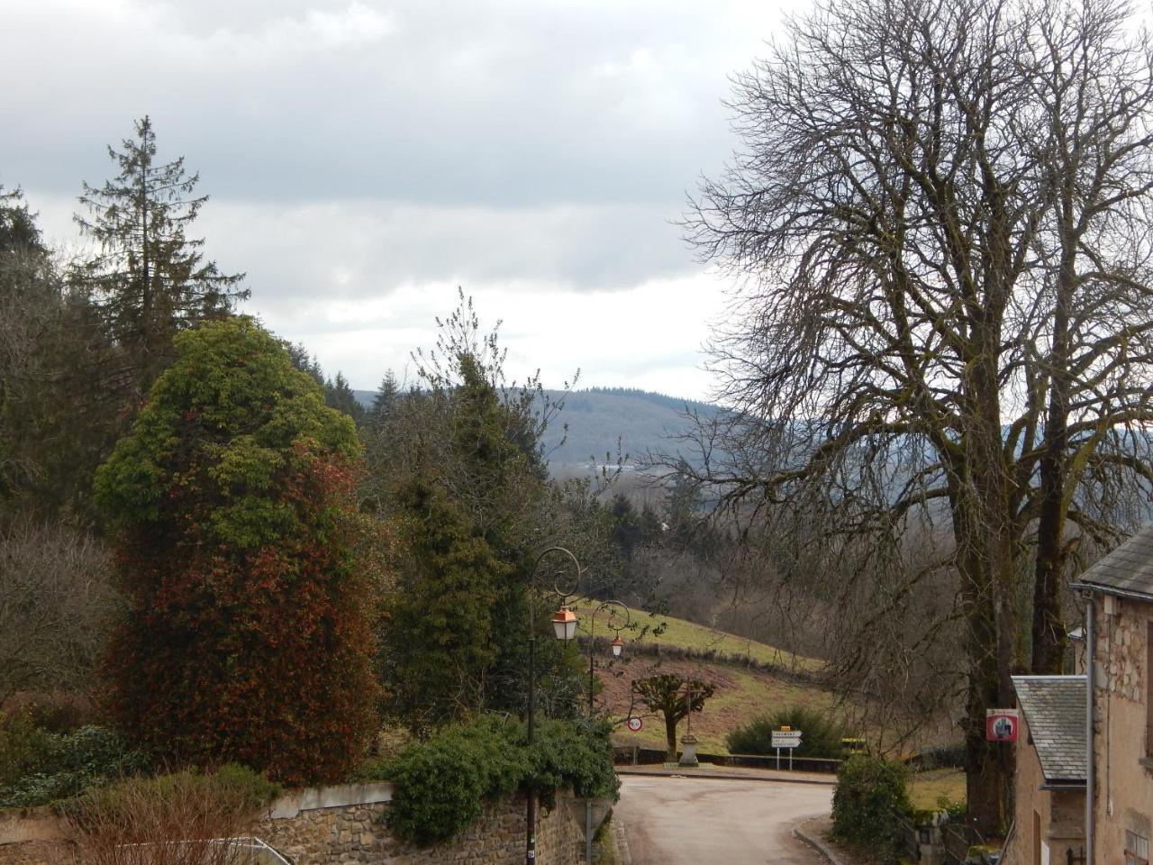 Le Lion D'Or Hotel Ouroux-en-Morvan Buitenkant foto